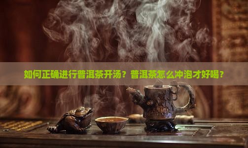 普洱茶开汤教学