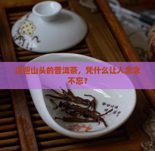 闻名的山头普洱茶特点是什么