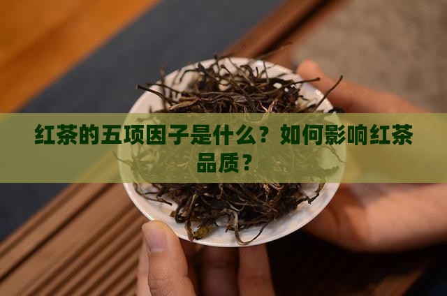 红茶的五项因子是什么
