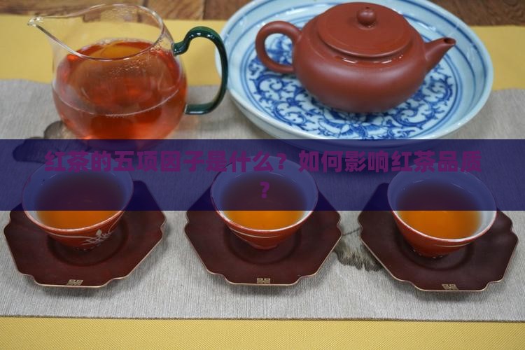 红茶的五项因子是什么