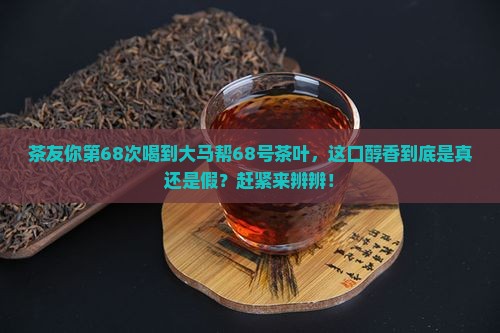 大马帮68号茶叶
