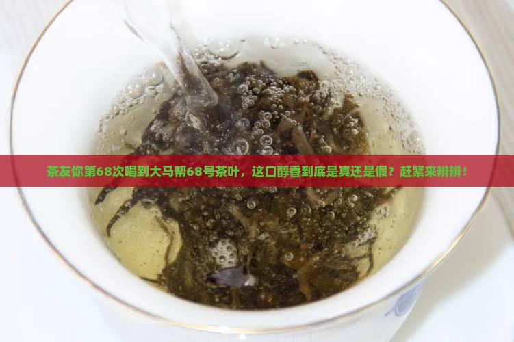 大马帮68号茶叶