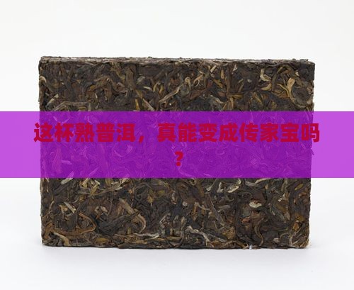 熟普洱茶能升值吗