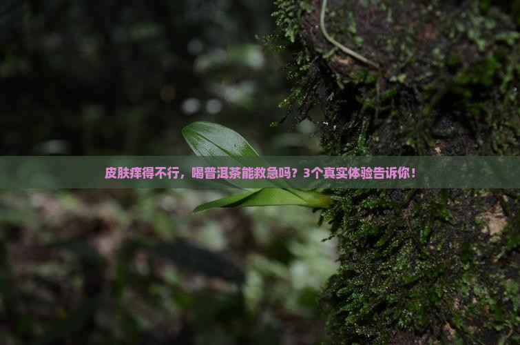 皮炎喝普洱茶有用吗