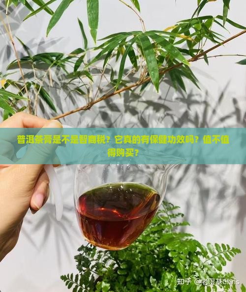 普洱茶膏是不是坑
