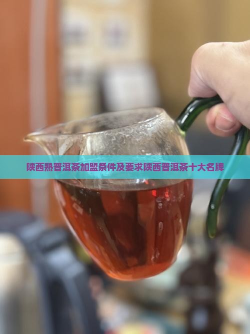陕西熟普洱茶加盟条件 陕西熟普洱茶加盟条件