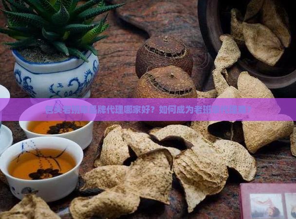 包头老班章品牌代理