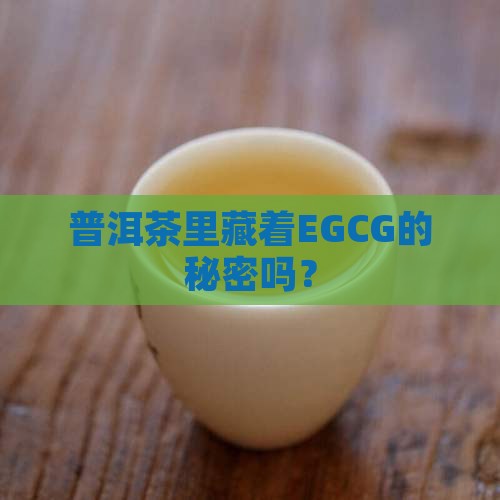 普洱茶有egcg吗