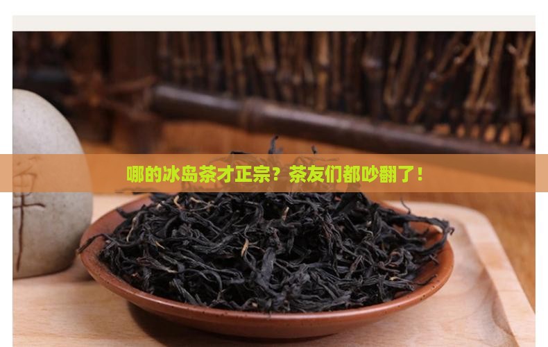 到底哪的冰岛茶正宗