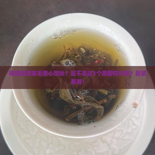 普洱茶喝完后恶心