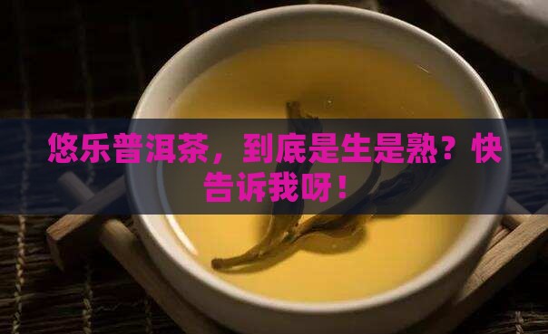 悠乐普洱茶是生茶还是熟茶