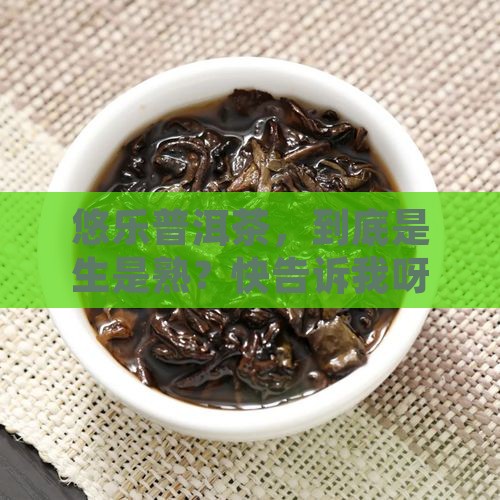 悠乐普洱茶是生茶还是熟茶