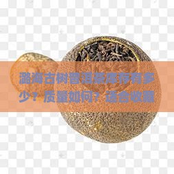 潞海古树普洱茶库