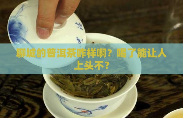 聊城普洱茶怎么样