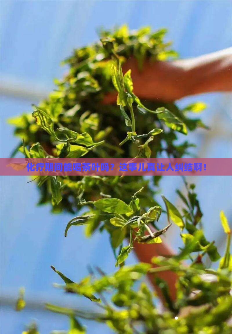 化疗期间可不可以喝茶叶