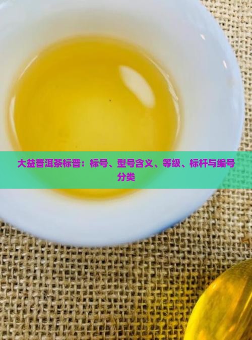 大益普洱茶标普