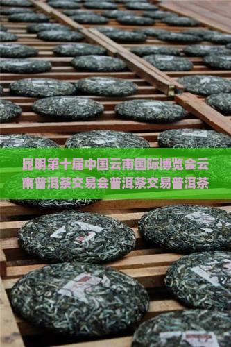 昆明普洱茶分会挂牌