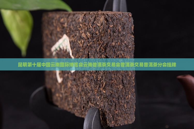 昆明普洱茶分会挂牌