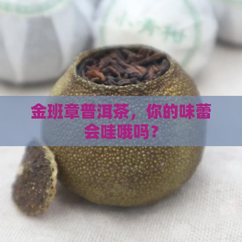 金班章普洱茶官方旗舰店