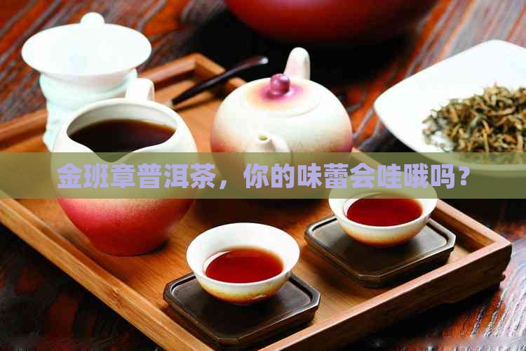 金班章普洱茶官方旗舰店