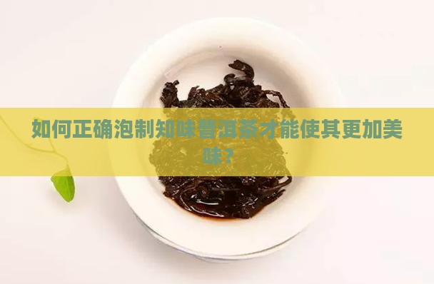 知味普洱茶怎么泡好喝