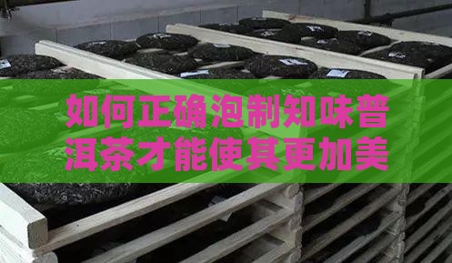 知味普洱茶怎么泡好喝