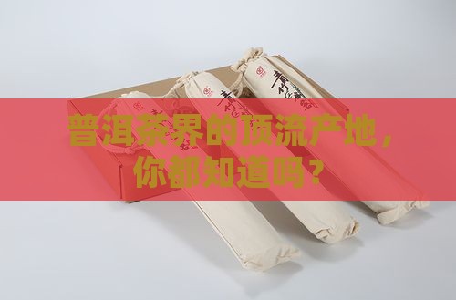 排名靠前的普洱茶产地有哪些