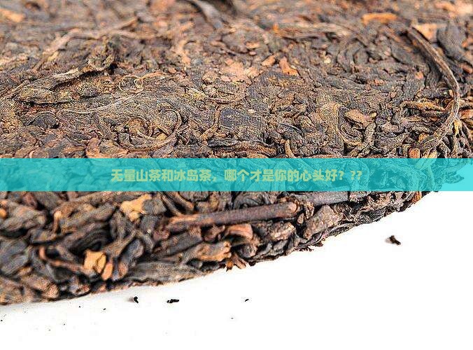 无量山茶和冰岛茶的区别