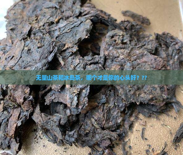 无量山茶和冰岛茶的区别