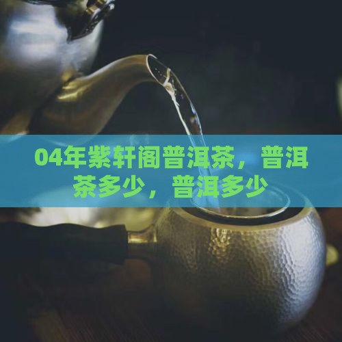 04年紫轩阁普洱茶
