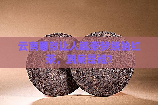 云南最出名的红茶