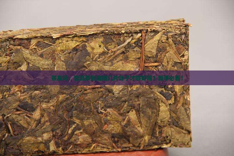 普洱茶采摘几片叶子的