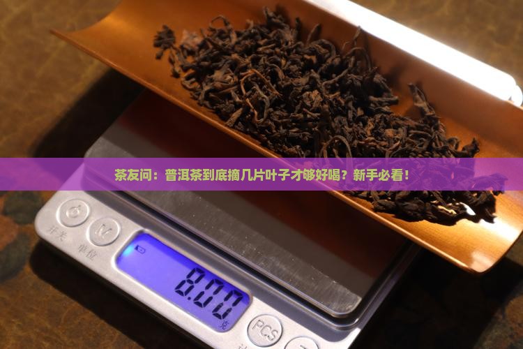 普洱茶采摘几片叶子的