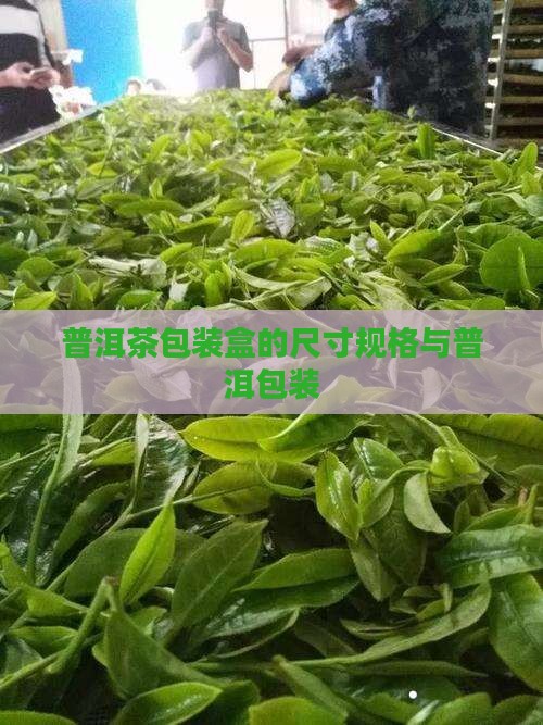 普洱茶包装盒的规格尺寸