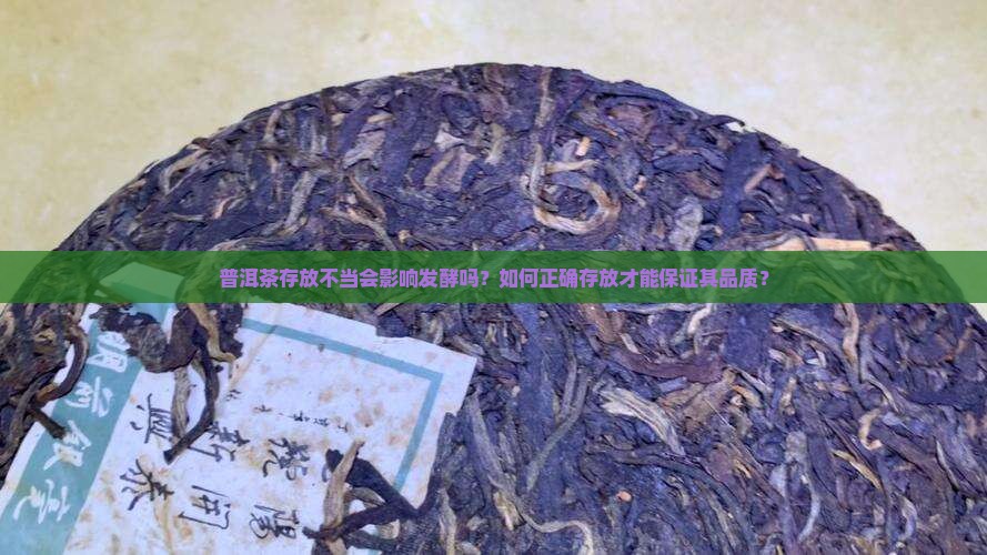 普洱茶存放不好发酵吗