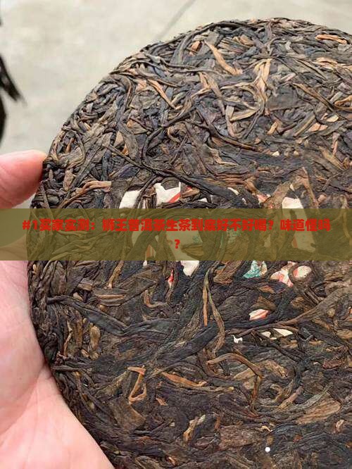 狮王普洱茶生茶好喝吗怎么样 狮王普洱茶生茶好喝吗怎么样