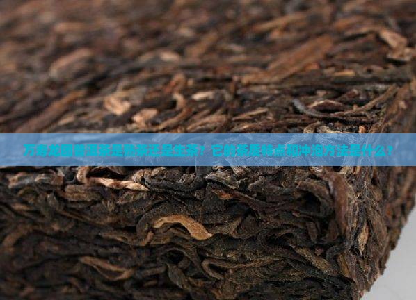 万寿龙团普洱茶是熟茶吗