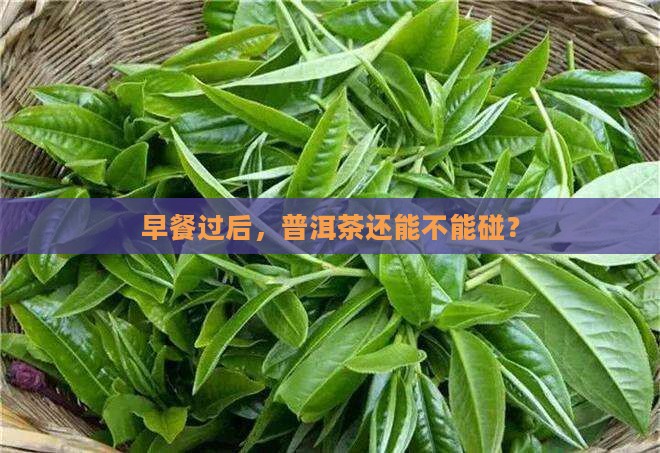 吃完早餐多久可以喝普洱茶
