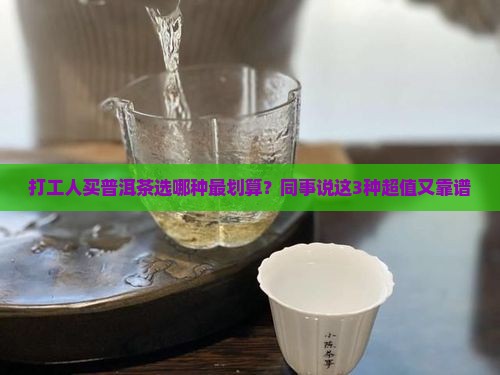 普洱茶哪种最划算
