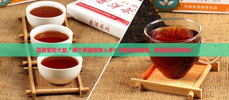 百茶堂对比大益
