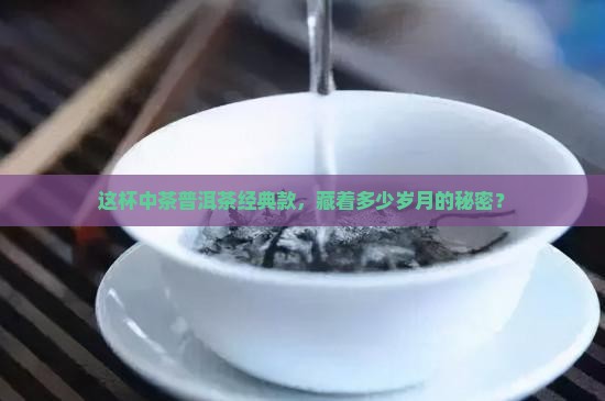 中茶普洱茶经典款