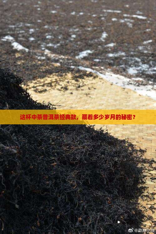 中茶普洱茶经典款
