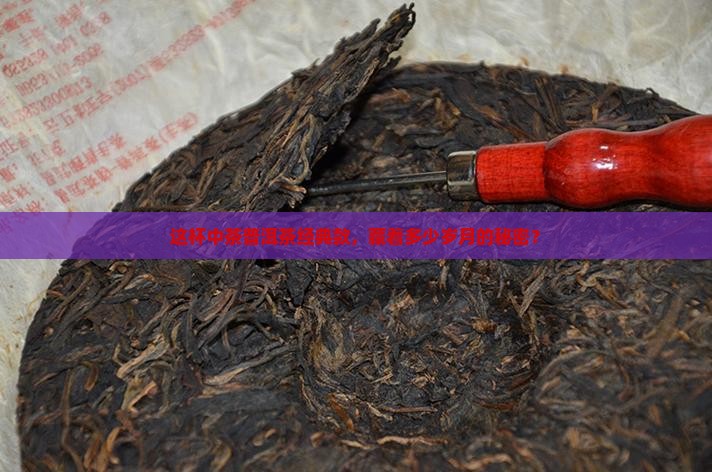 中茶普洱茶经典款