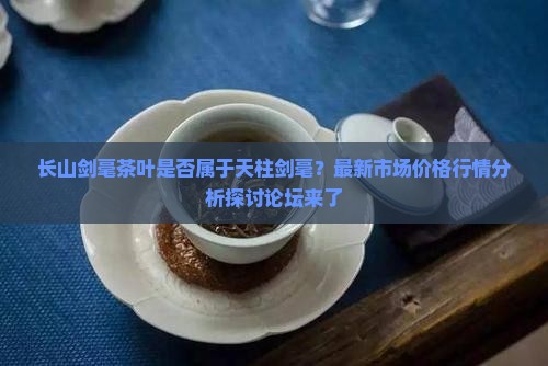 长山剑毫茶叶是何种茶