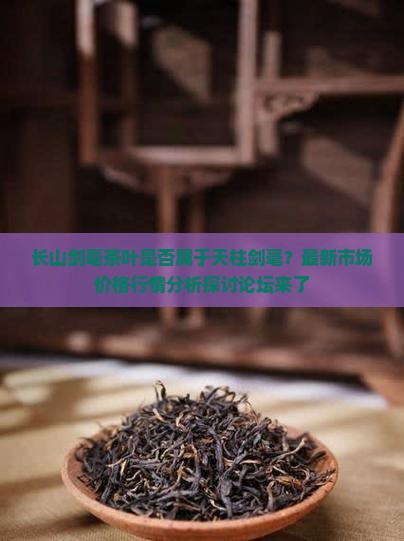 长山剑毫茶叶是何种茶