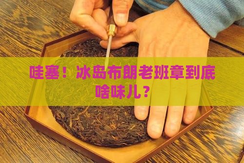 冰岛布朗老班章的口感