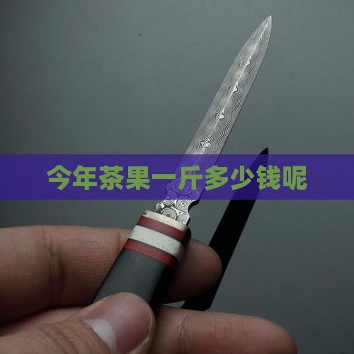 今年茶果一斤多少钱呢