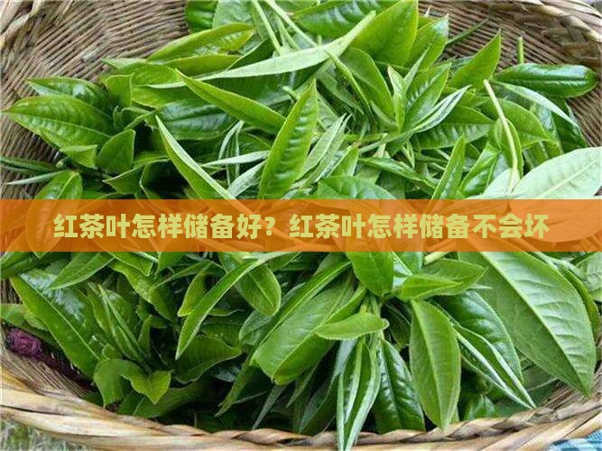 红茶叶怎样储备