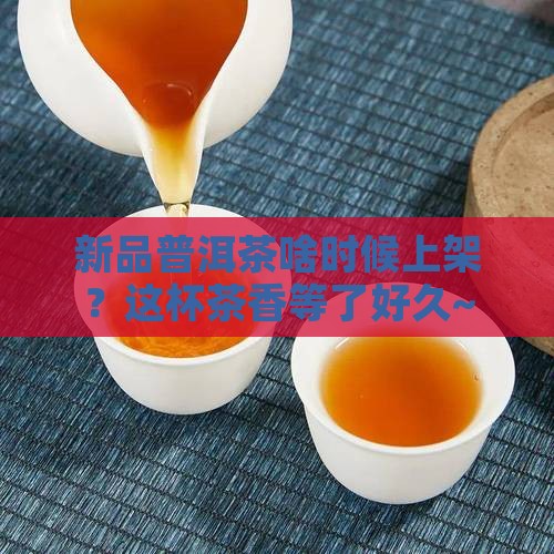 普洱茶新品上市时间