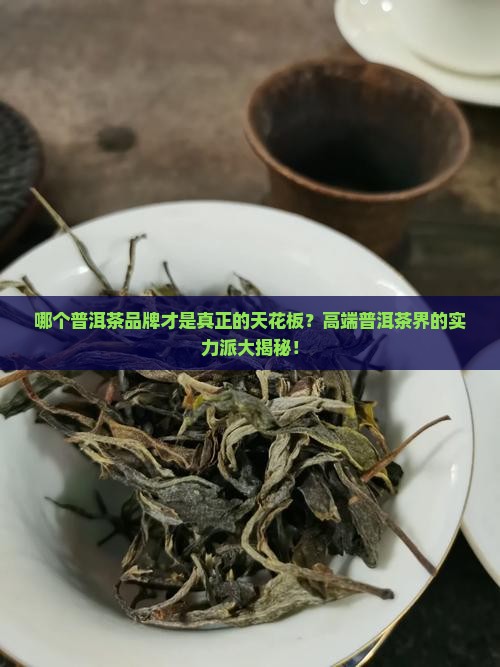 高端普洱茶品牌排名